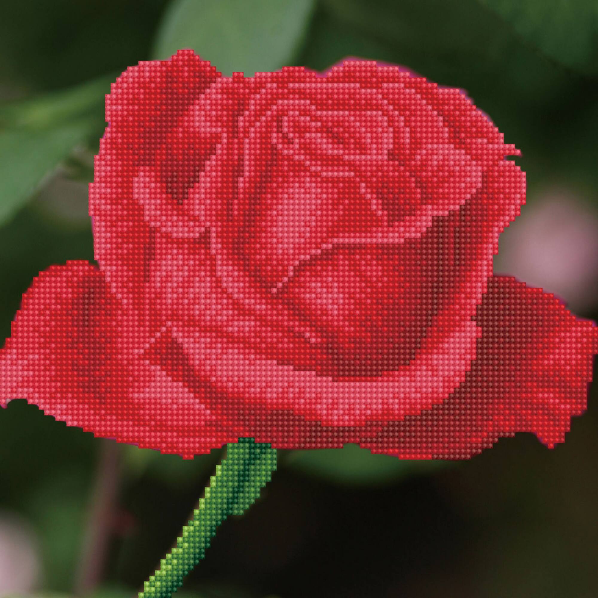 Diamond Dotz® Intermediate Rose Bud with Frame Diamond Painting Kit